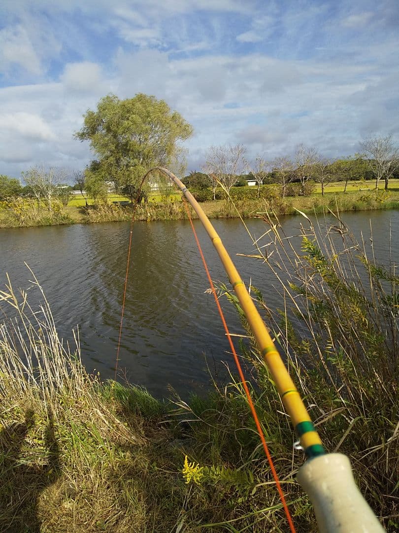 [ゆーけす] 丸竹フライロッド 8フィート 3pc #4/5