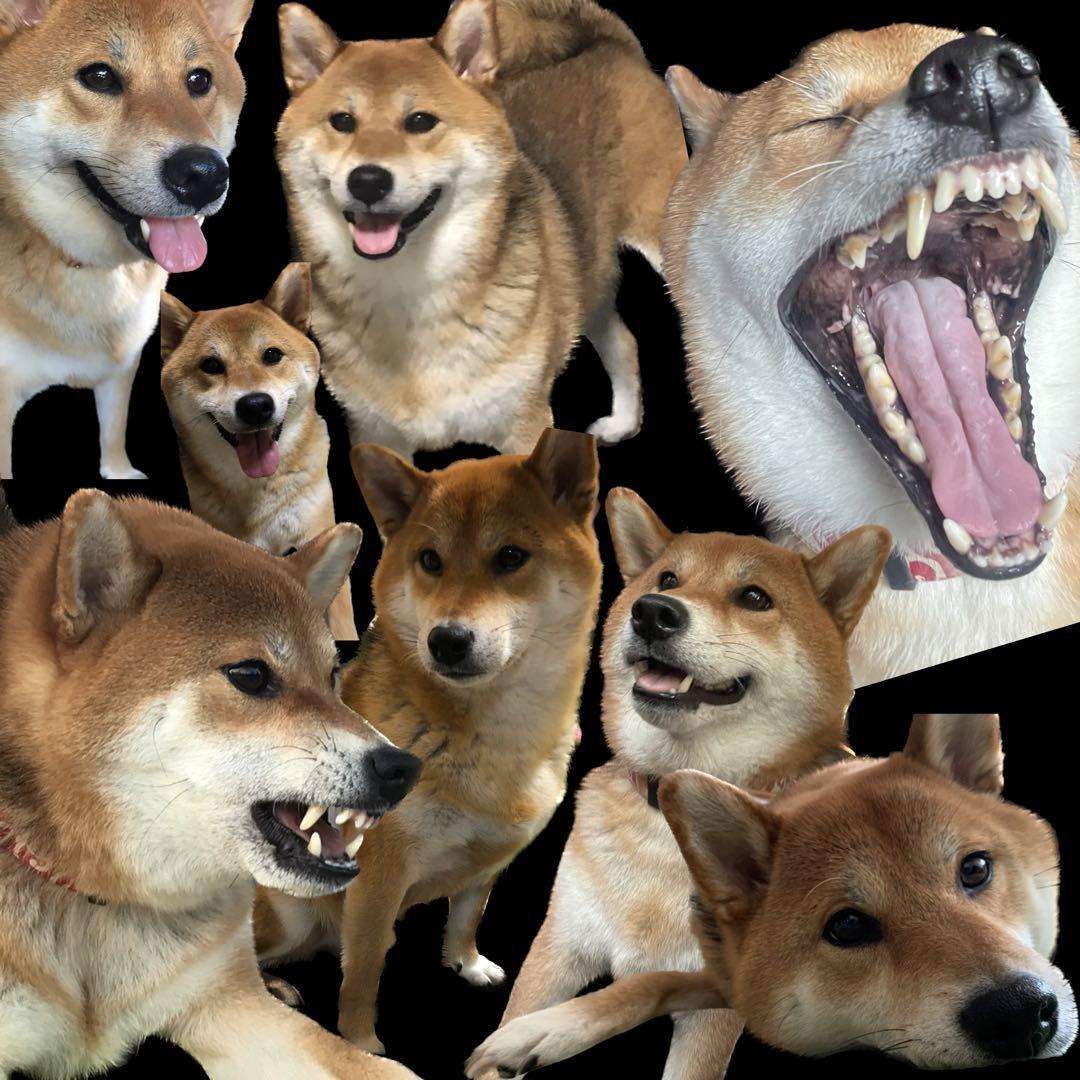 j.t95☆様ご確認用