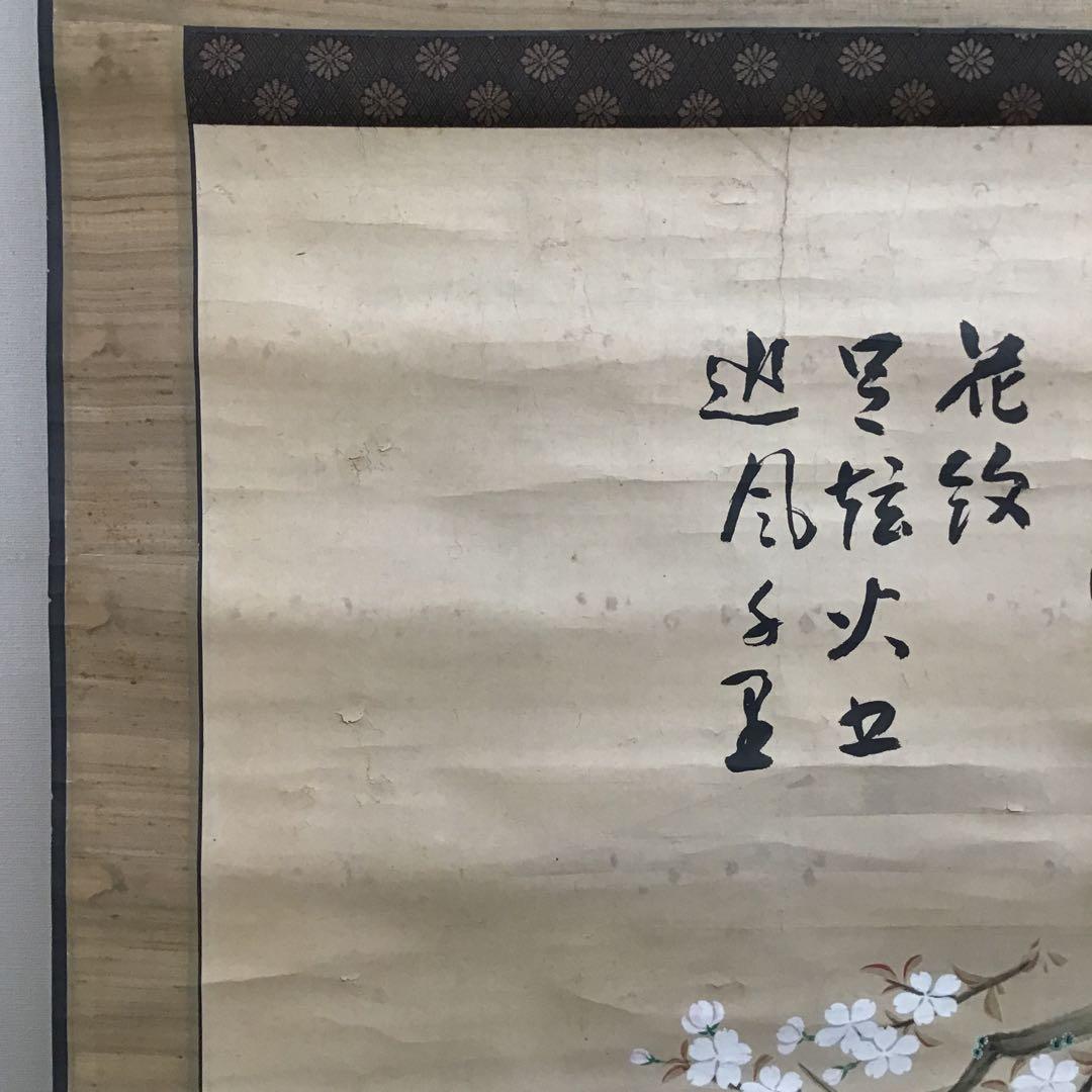 K茶道具　時代掛軸「桜馬図」　画:桜妙作　讃:忠香作　自作桐箱　S175KJ