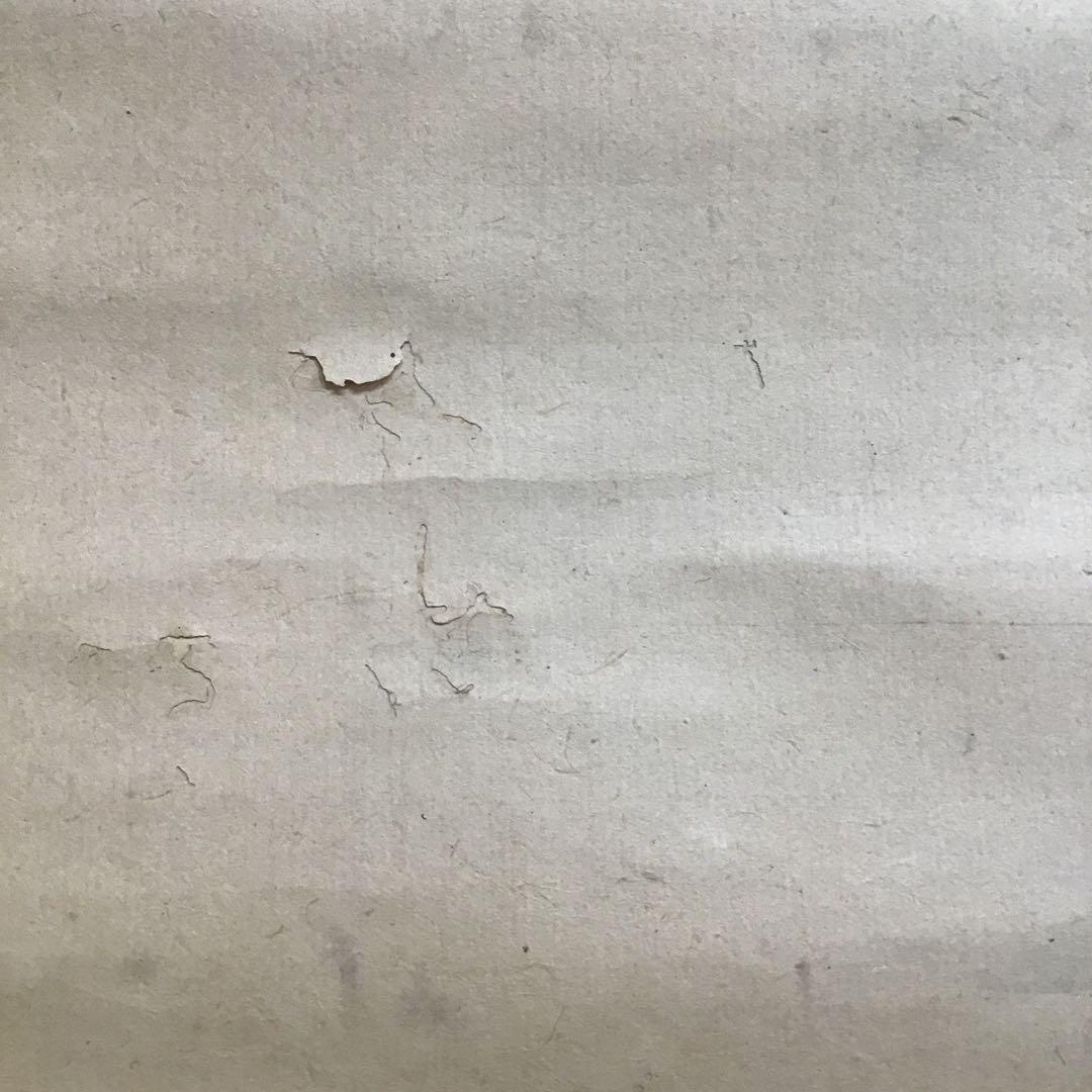 K茶道具　時代掛軸「桜馬図」　画:桜妙作　讃:忠香作　自作桐箱　S175KJ