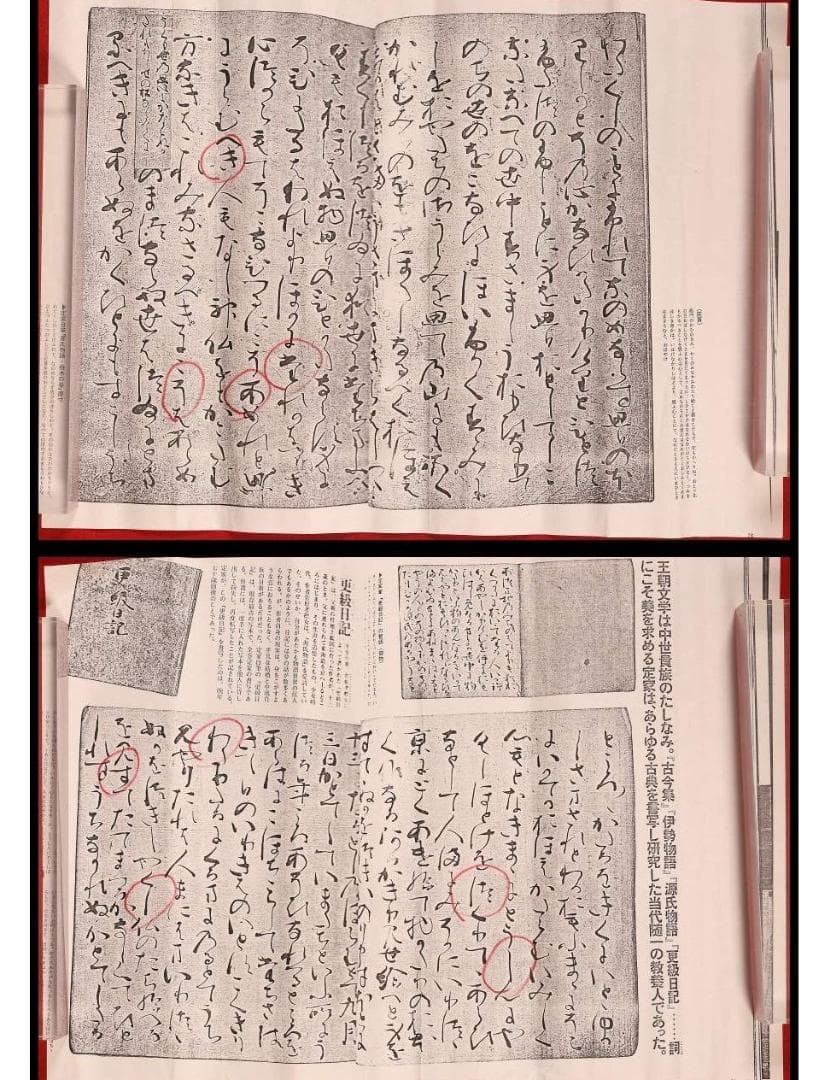 ◆【藤原定家】『田家初秋』和歌 吉川惟足極札◆検）藤原俊成 藤原道長 紫式部