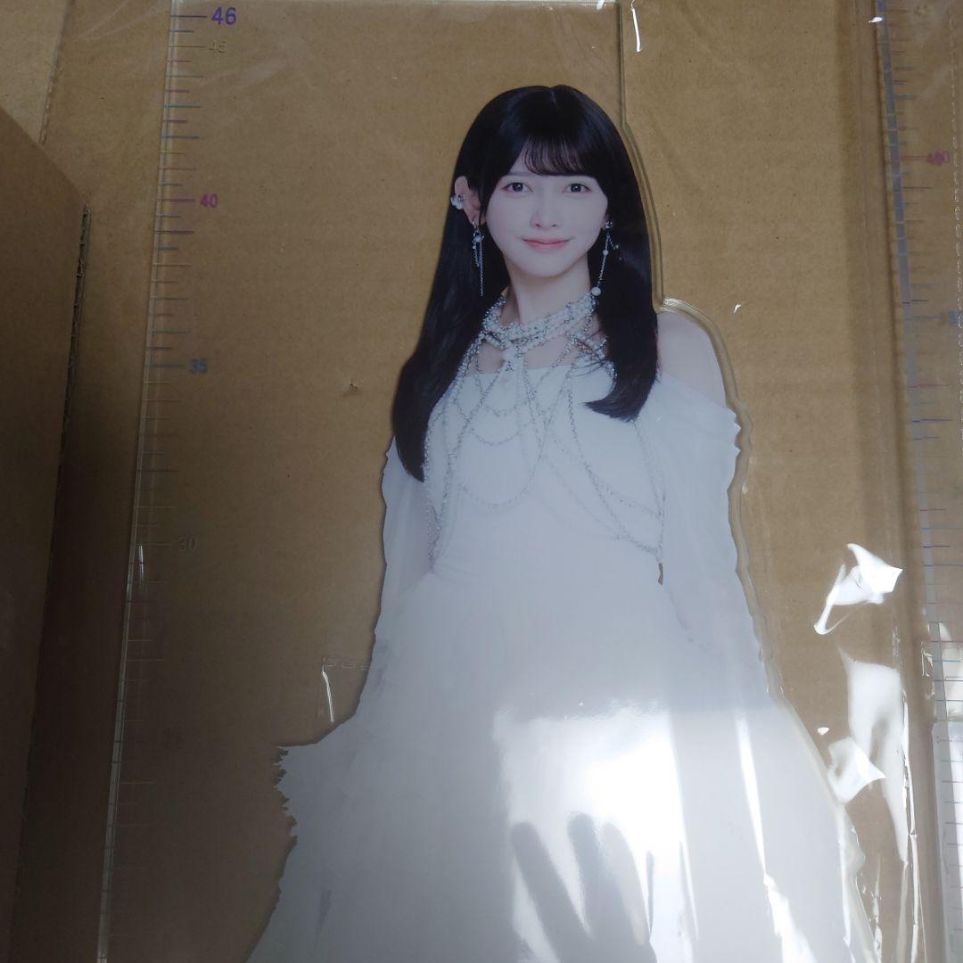 乃木坂46 井上和Cセット池田瑛紗CセットとAから4品