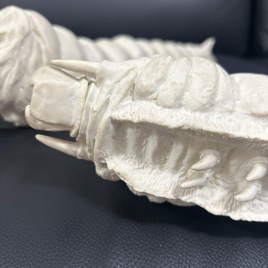 パラダイス　モスラ　幼虫(約４０センチ)　モスラ対ゴジラ