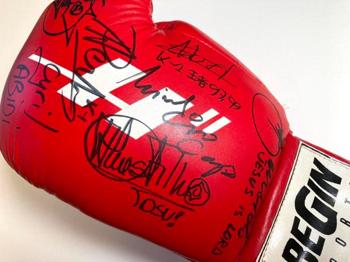 K-1ファイター 7名のサイングローブ