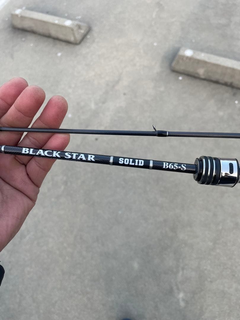 希少！ZESTA ブラックスターB65-S ソリッドベイトランサー