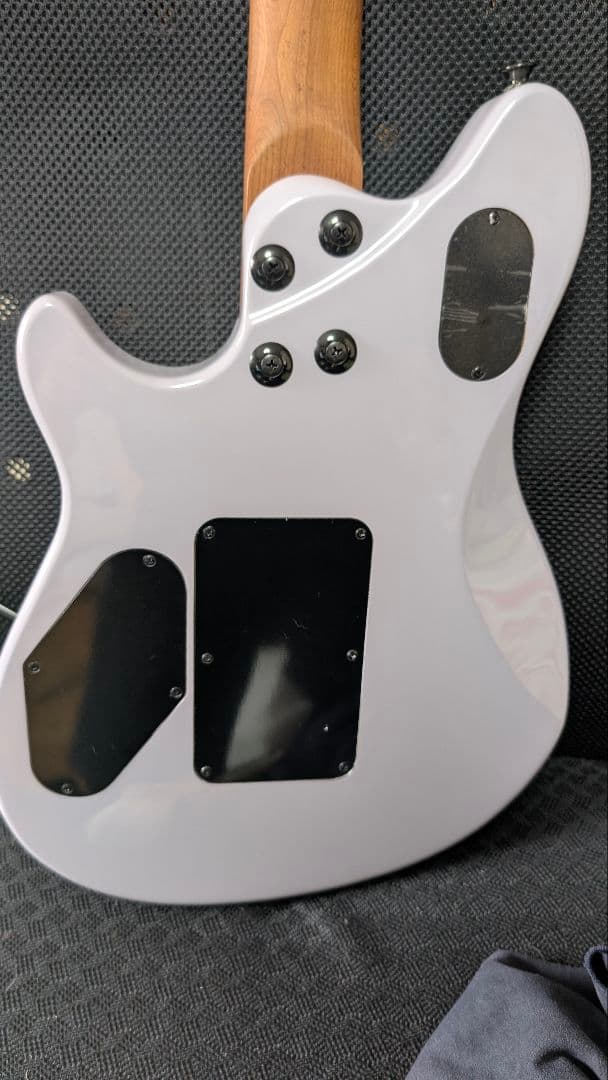 EVH Wolfgang Standard【ネック少々難あり】