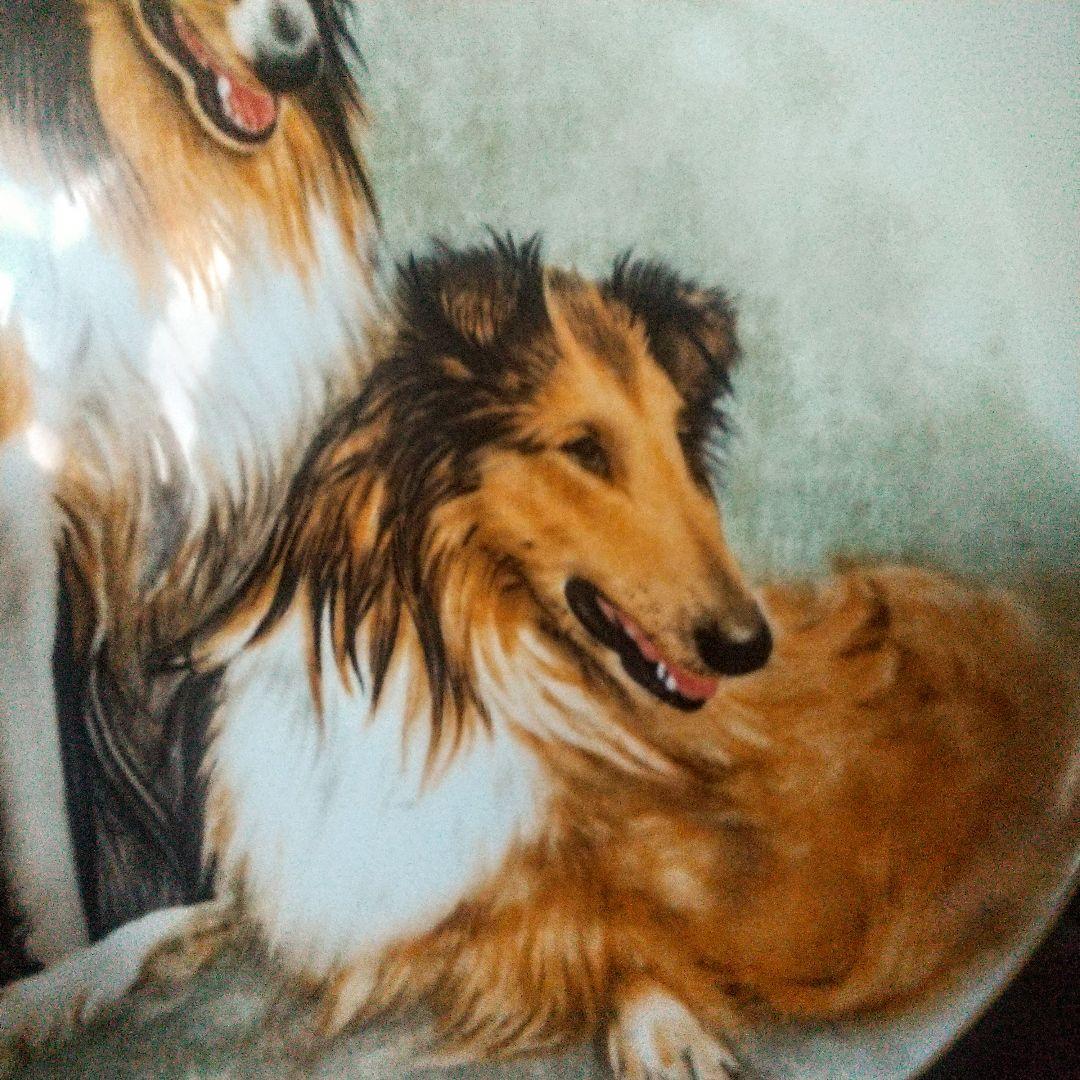 1950年代◆プレミアノリタケ◆プレート コリー犬 ハンドペイント サイン入り