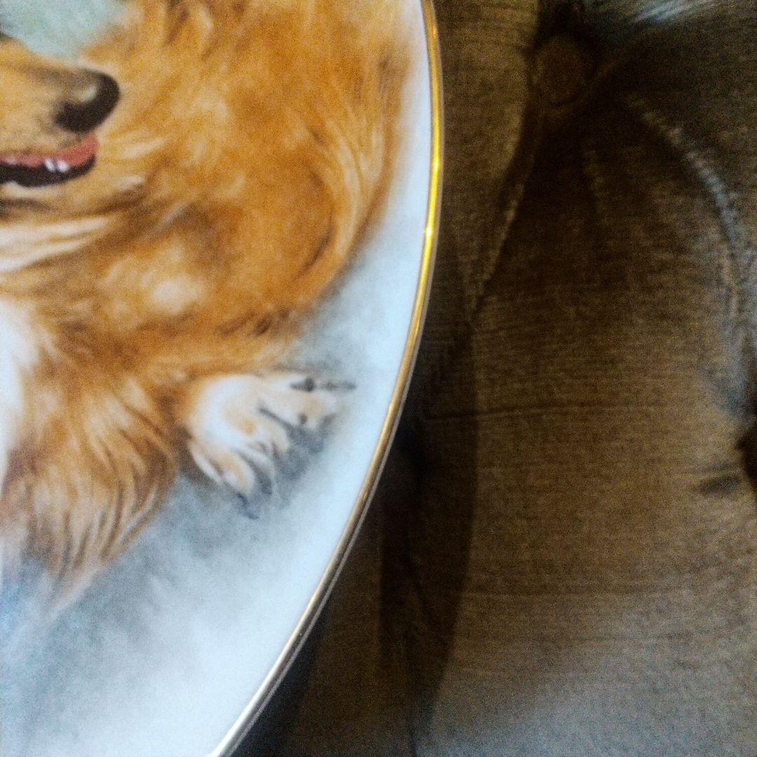 1950年代◆プレミアノリタケ◆プレート コリー犬 ハンドペイント サイン入り