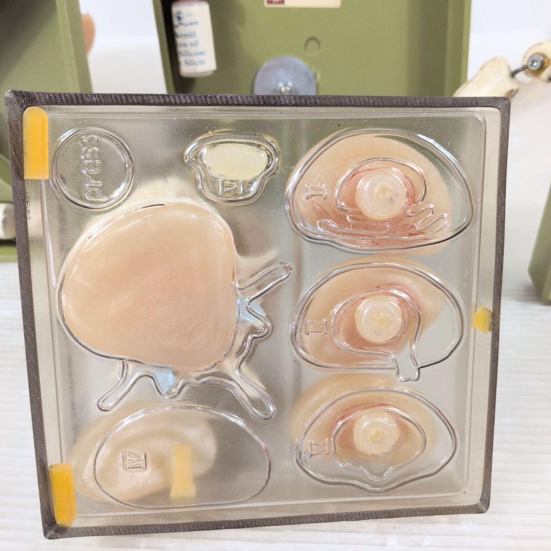 SOMSO 肩関節 膝関節 肘関節 椎間板 模型 ソムソ ドイツ製 人体模型