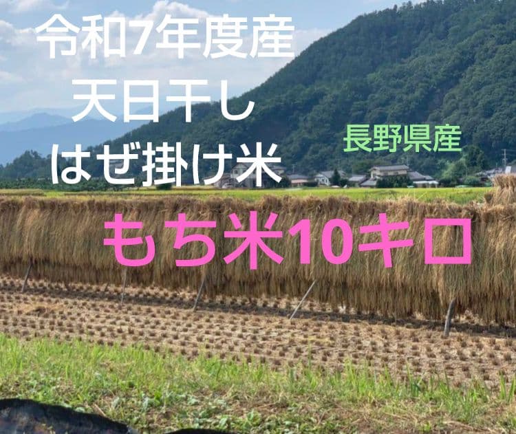 天日干しはぜかけ米 信州発令和7年度産 もち米10キロ
