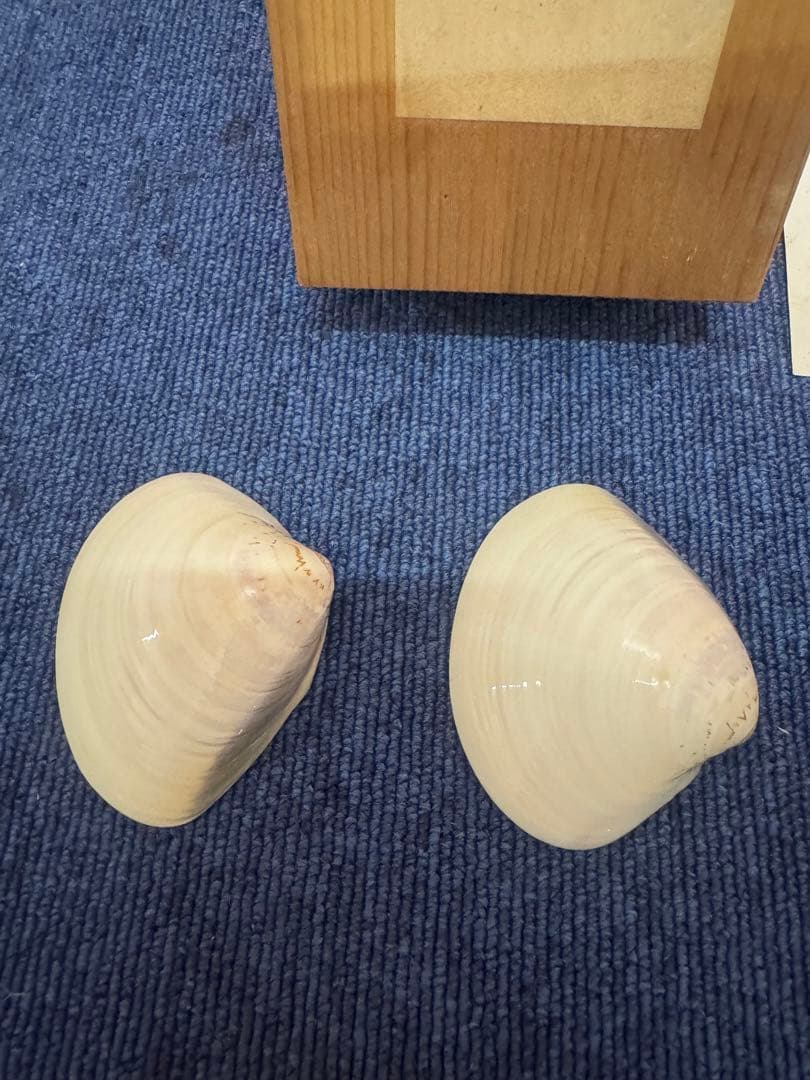 1589 環翠庵　天然　蛤香合