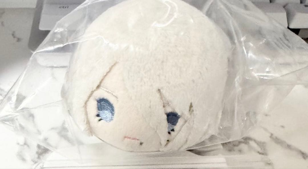 A2 もちマス　box特典