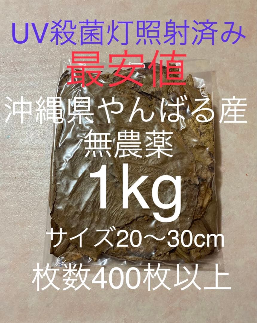 沖縄県やんばる産マジックリーフ 1kg UV殺菌灯照射済み①