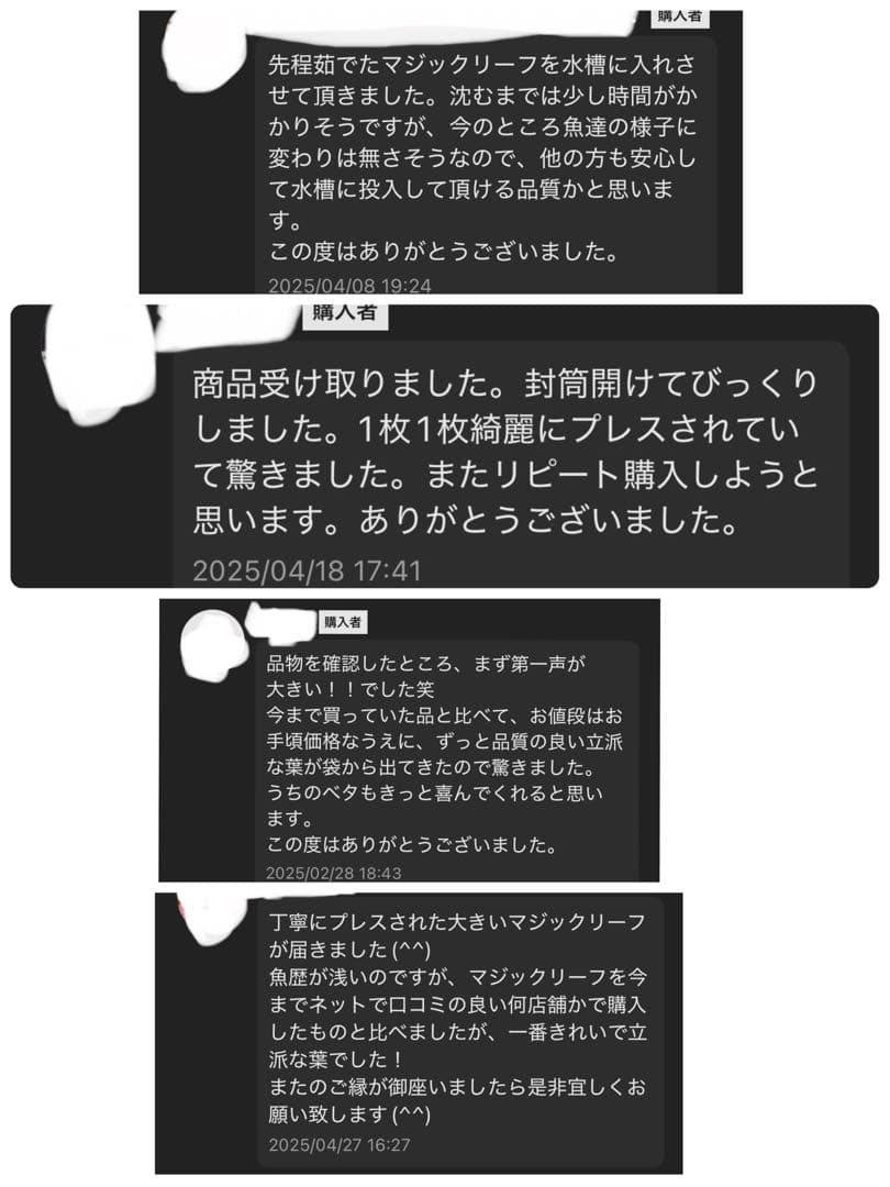 沖縄県やんばる産マジックリーフ 1kg UV殺菌灯照射済み①