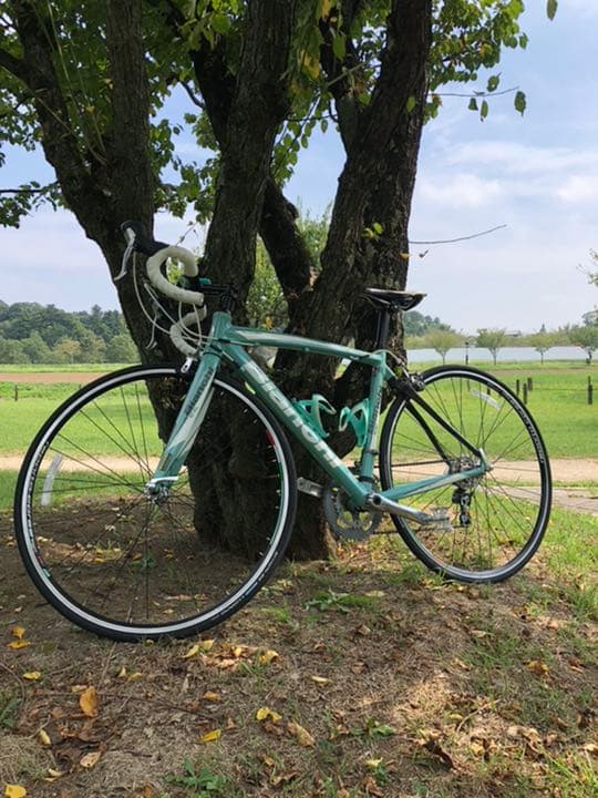 ロードバイク シマノ ギア ティアグラ