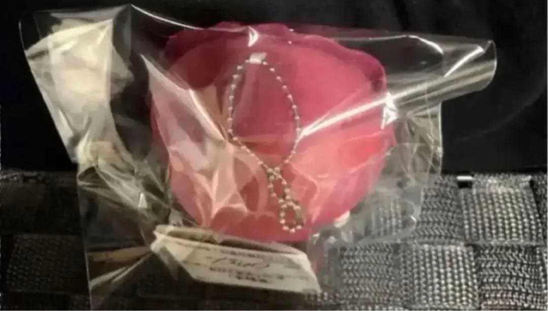 超人的シェアハウスストーリー ちびぐるみ ぬいぐるみ 天堂天彦 新品タグ付き