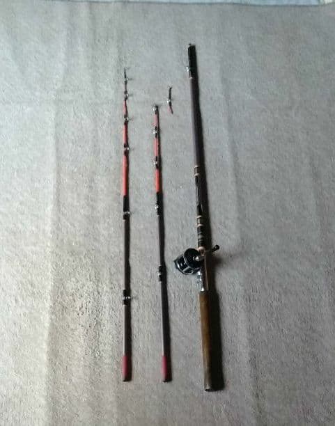 ボ―トロッド  シマノ新はやしお ６　小型リ―ルダイワＣＯＲＯＮＥＴ１０