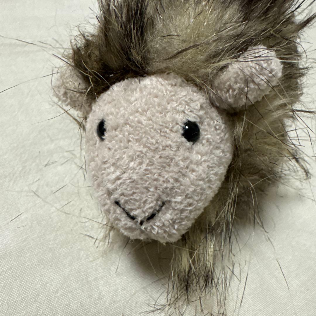 ジェリーキャット ゴージャスギニアピッグ ゴージャス モルモット