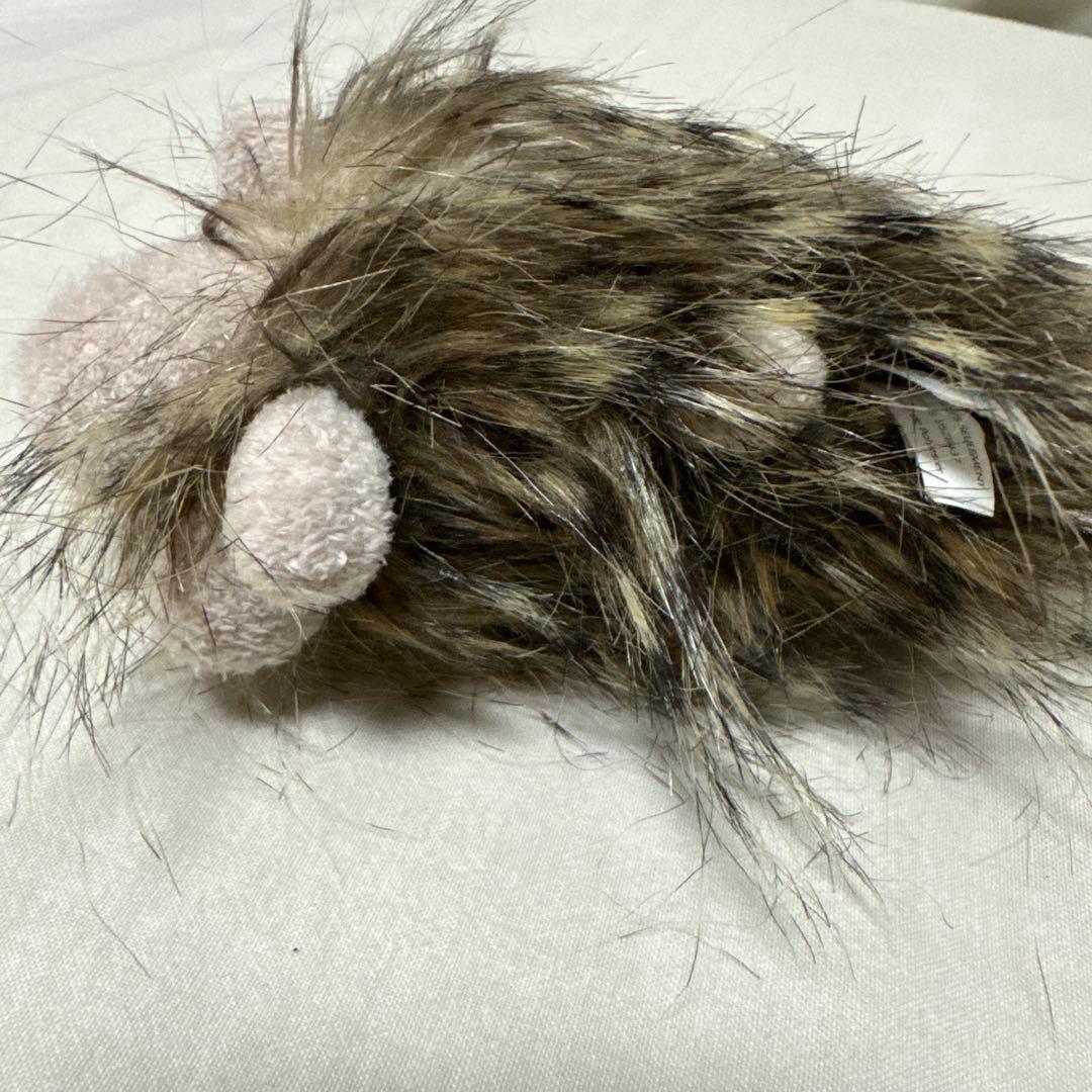 ジェリーキャット ゴージャスギニアピッグ ゴージャス モルモット