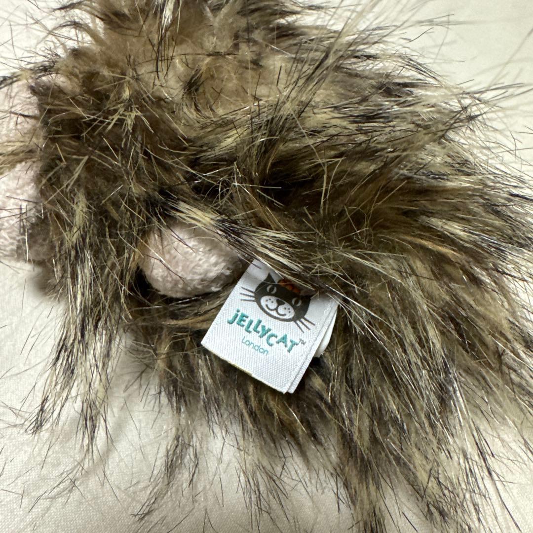 ジェリーキャット ゴージャスギニアピッグ ゴージャス モルモット