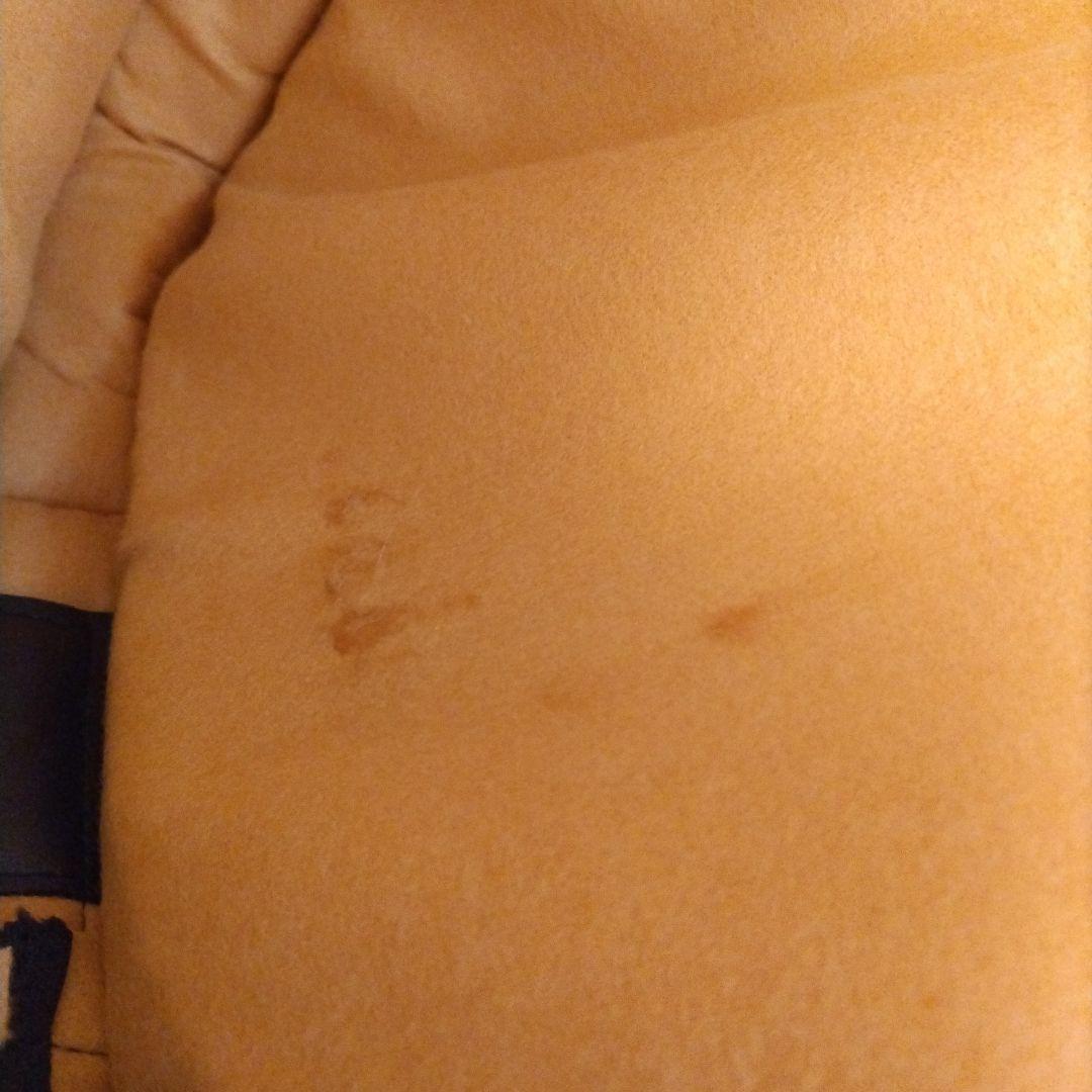 ESP Electric Sound Products ベースケースソフトケース