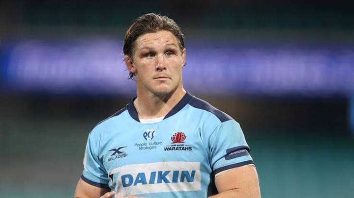 スーパーラグビー ワラターズ 選手支給用ジャージ M