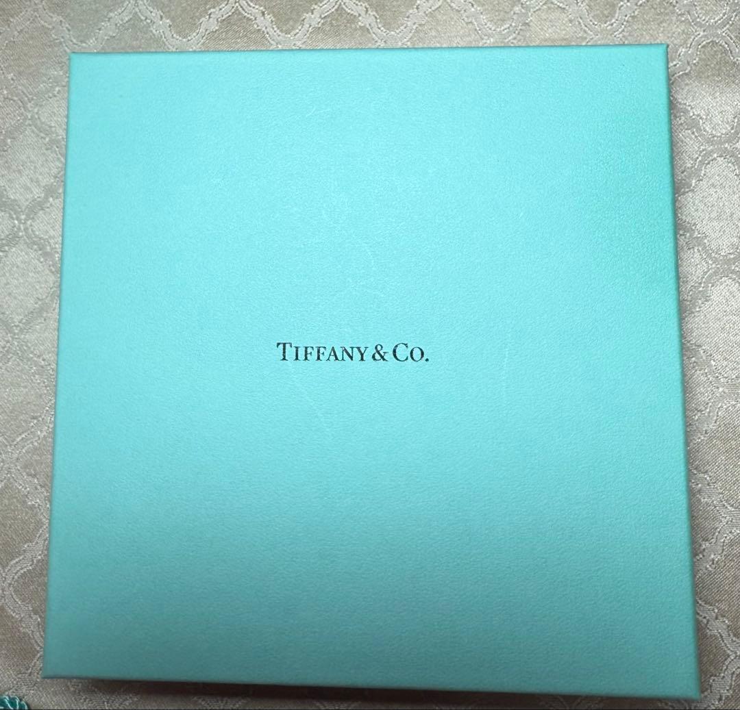 Tiffany & Co. ティファニーブルー レザー首輪