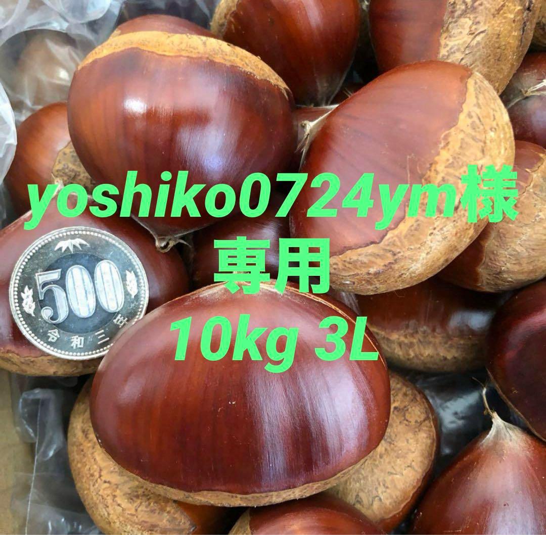 yoshiko0724ym 大粒栗 10kg 3Lサイズ