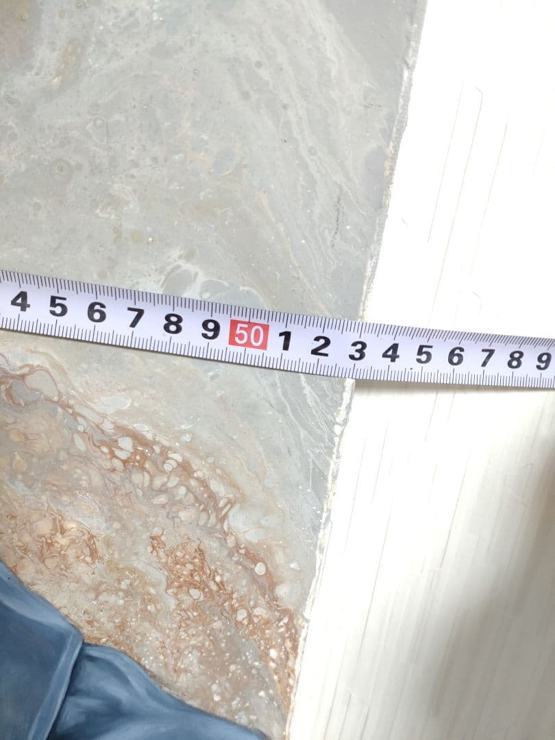 油絵【赤トンボ】1点物の原画/作者サイン入/F10号キャンバス