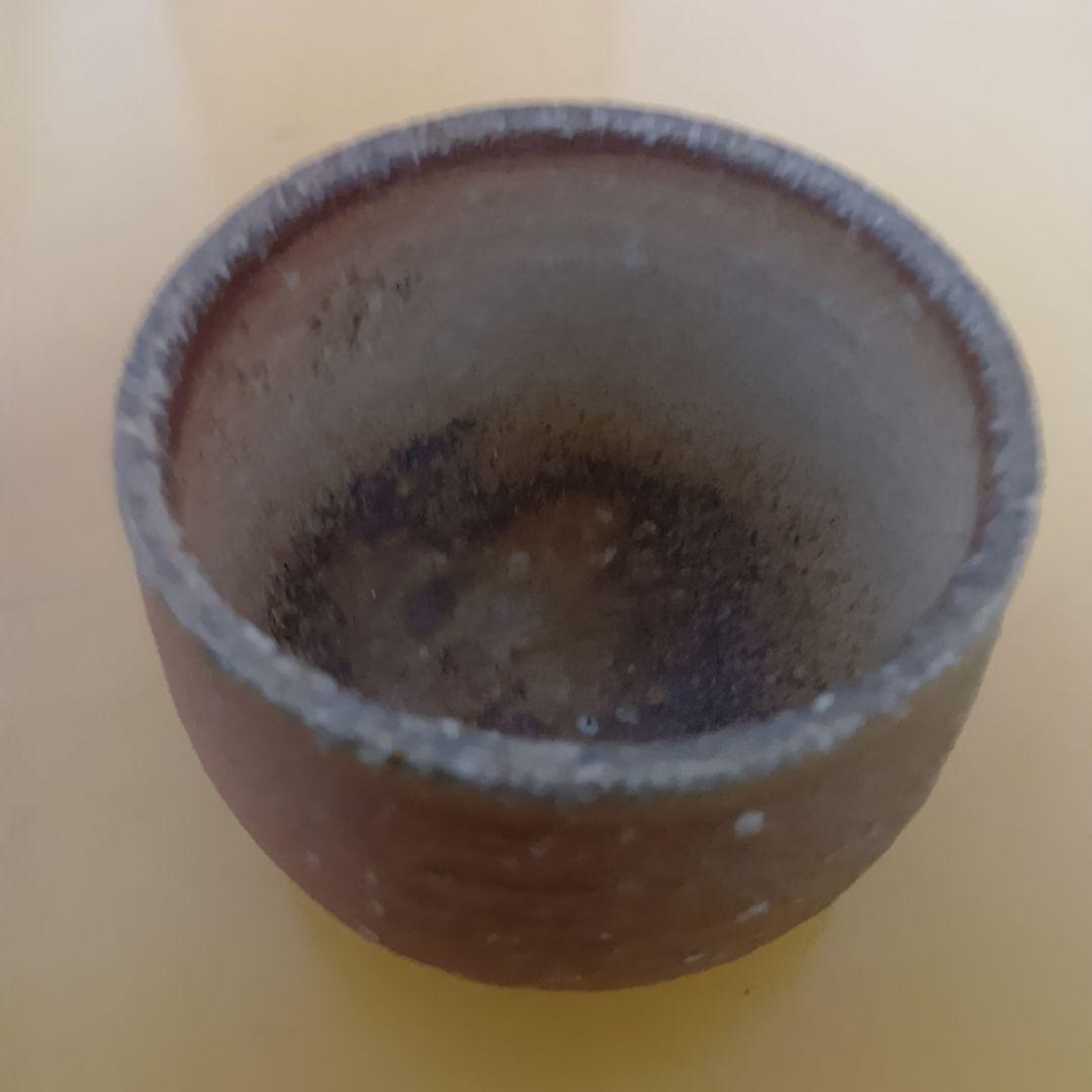骨董品 信楽焼 酒呑 ぐい呑 上田光春 古来窯 酒器 工芸品 陶器 極美品‼️