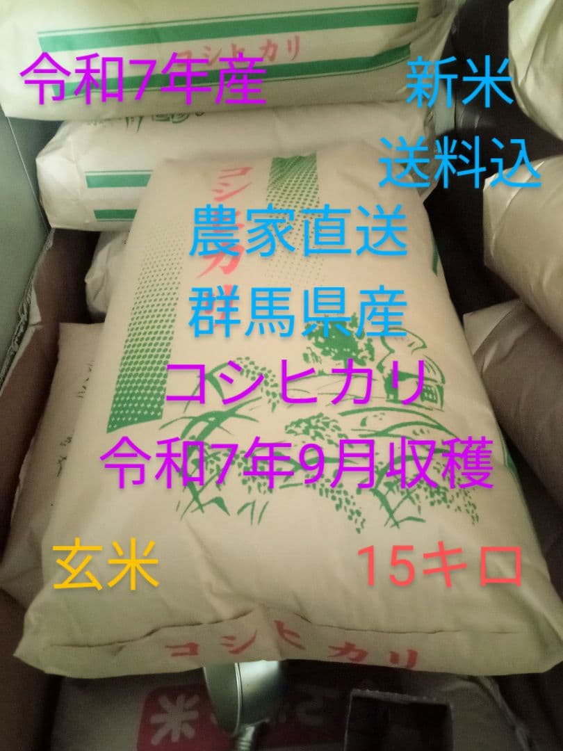 R7年産 新米 群馬県産 コシヒカリ 15キロ 玄米 送料込 15kg ①