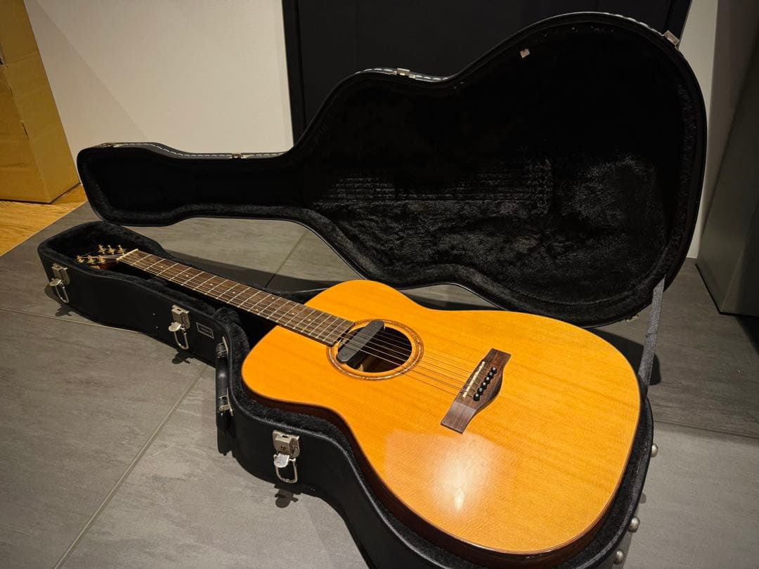 【セール中】Aria オール単板 Fishmanピックアップ付き ADF-CST