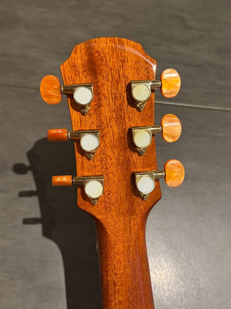 【セール中】Aria オール単板 Fishmanピックアップ付き ADF-CST