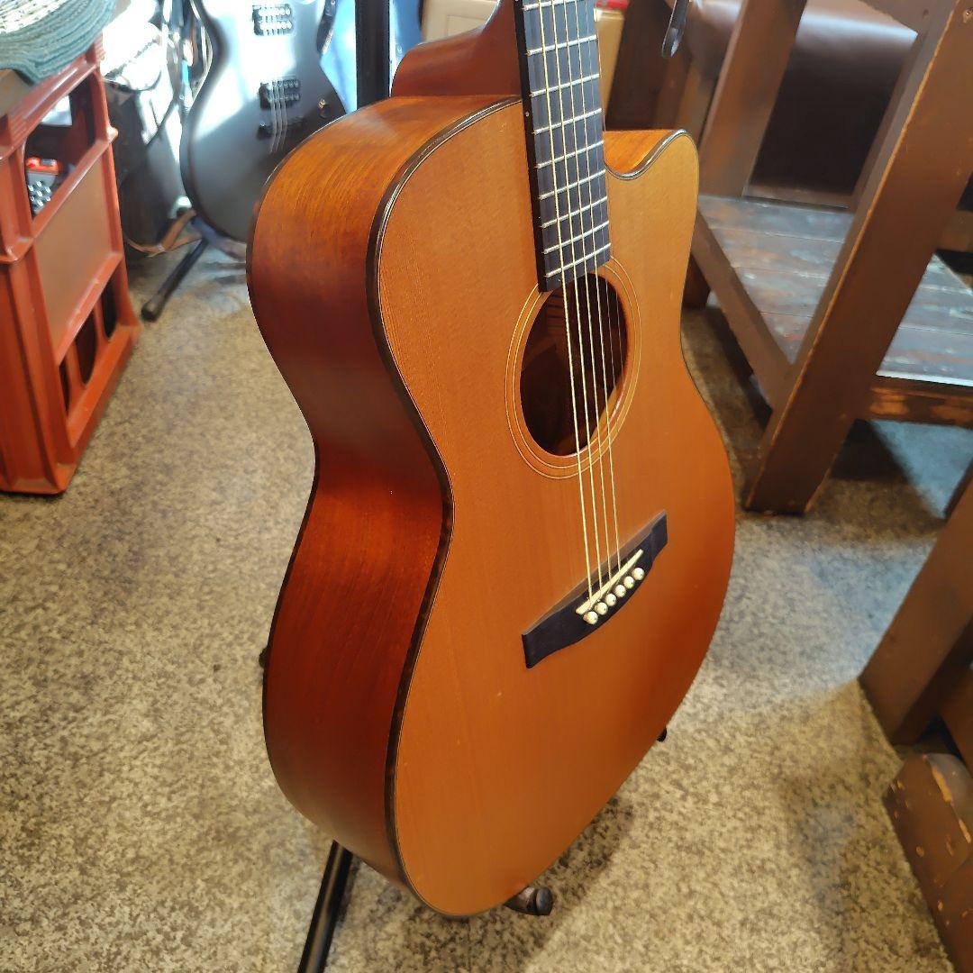 ギター Lakewood M-1