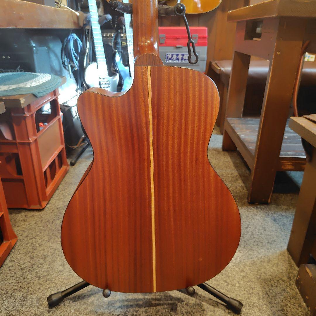 ギター Lakewood M-1