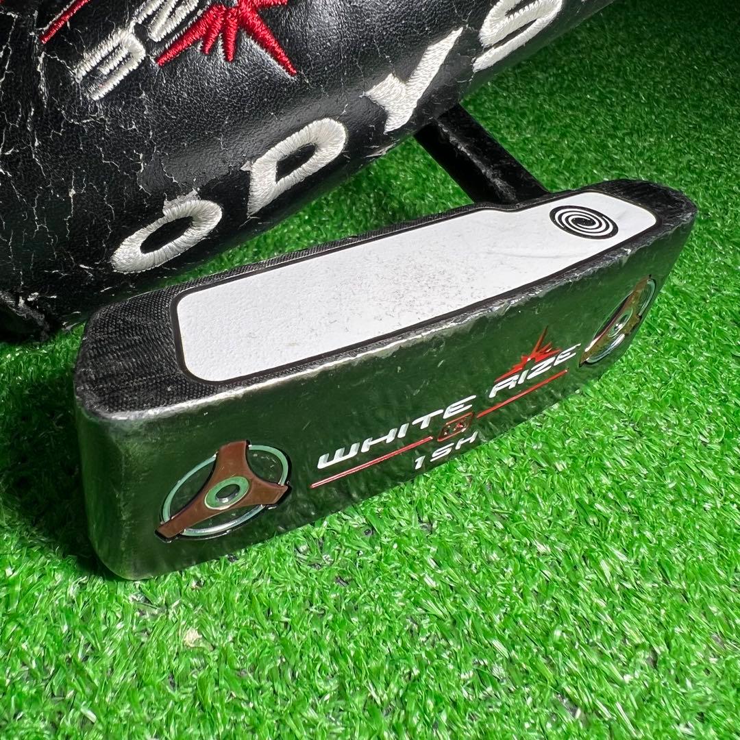 D260 Odyssey WHITE RIZE iX 1SH パター メンズ 右