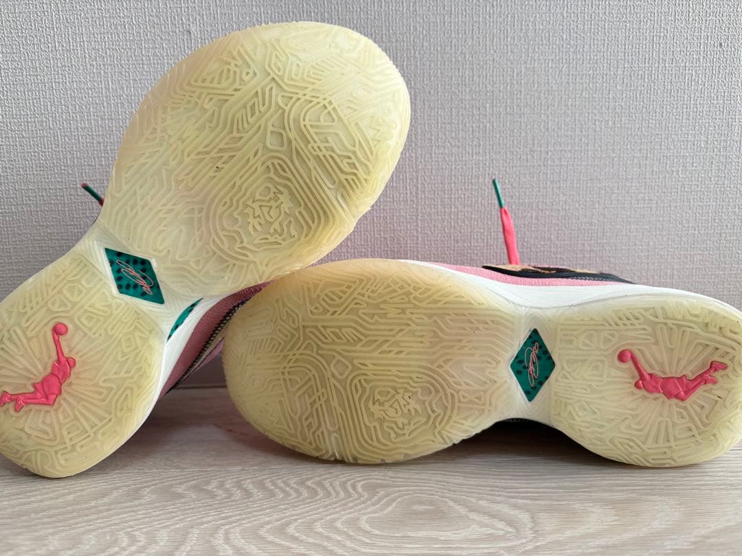 【美品】レブロン20 バッシュ 28.5cm