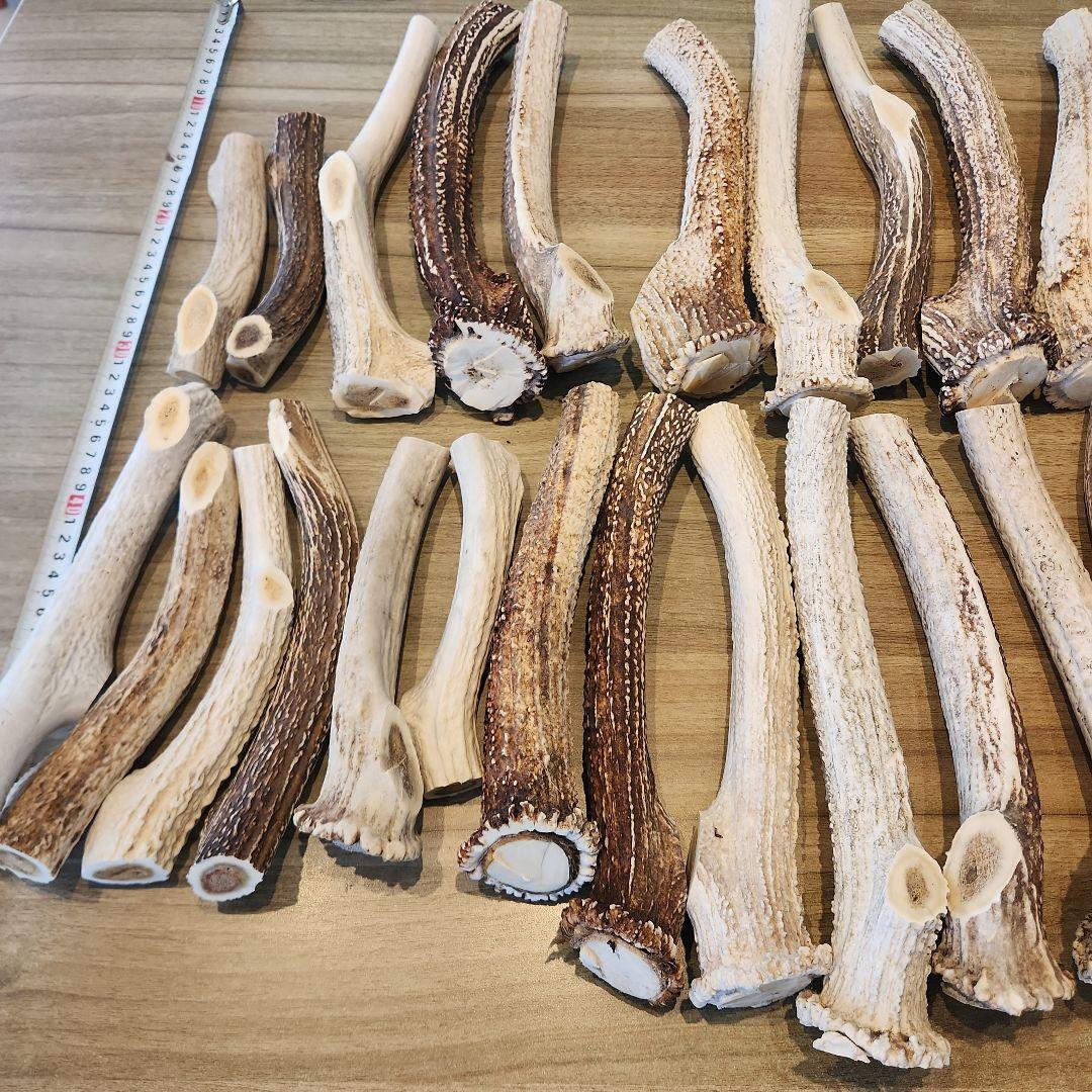 鹿の角 (特大～大サイズ)犬用おもちゃ ランダム　2kg　およそ4本～8本