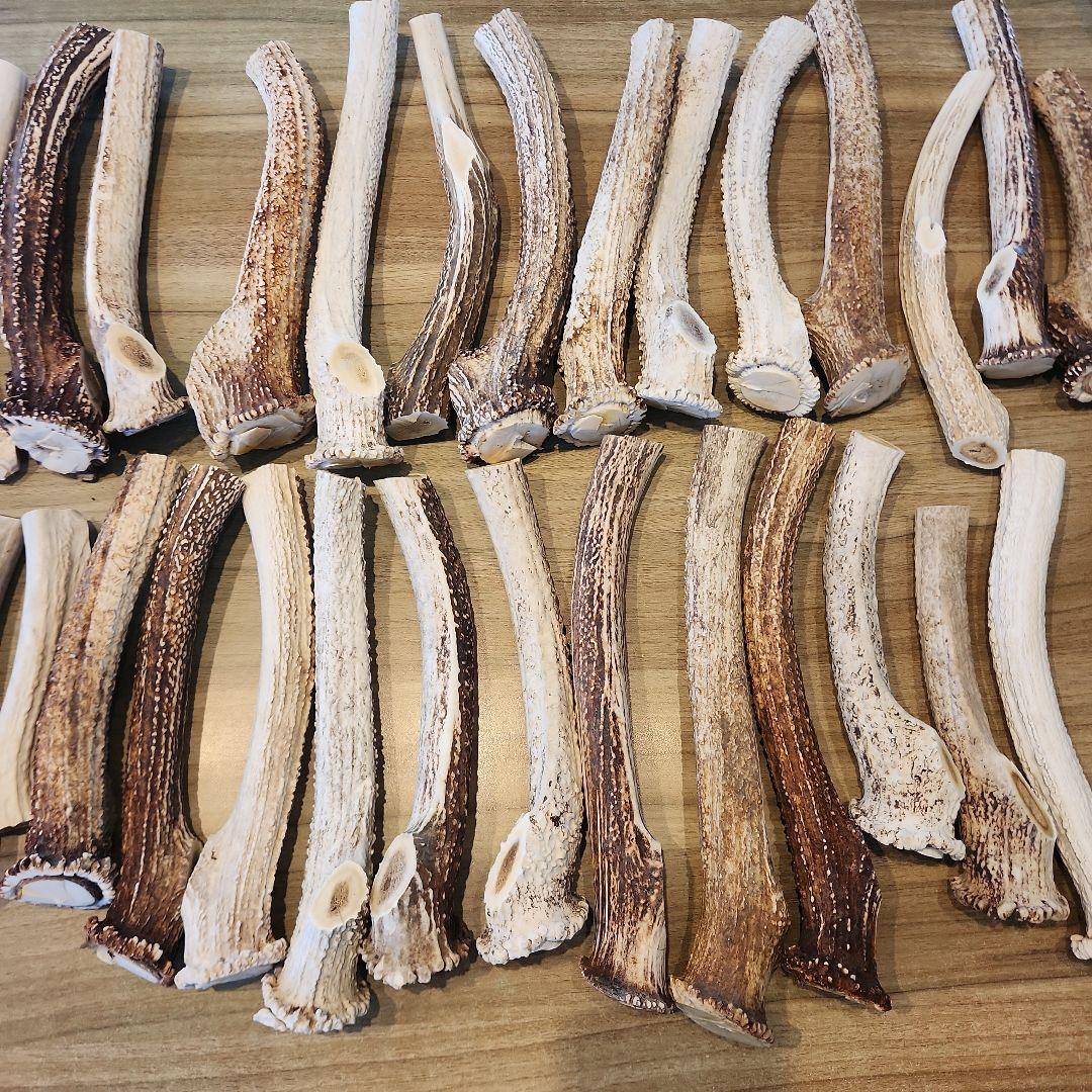 鹿の角 (特大～大サイズ)犬用おもちゃ ランダム　2kg　およそ4本～8本