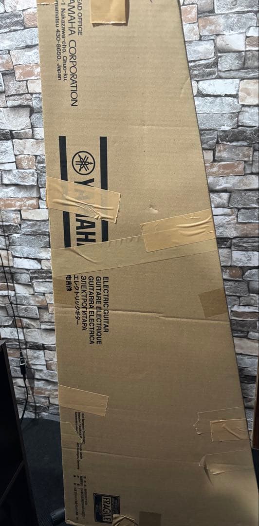 フェルナンデス BT-110HH buck-tick