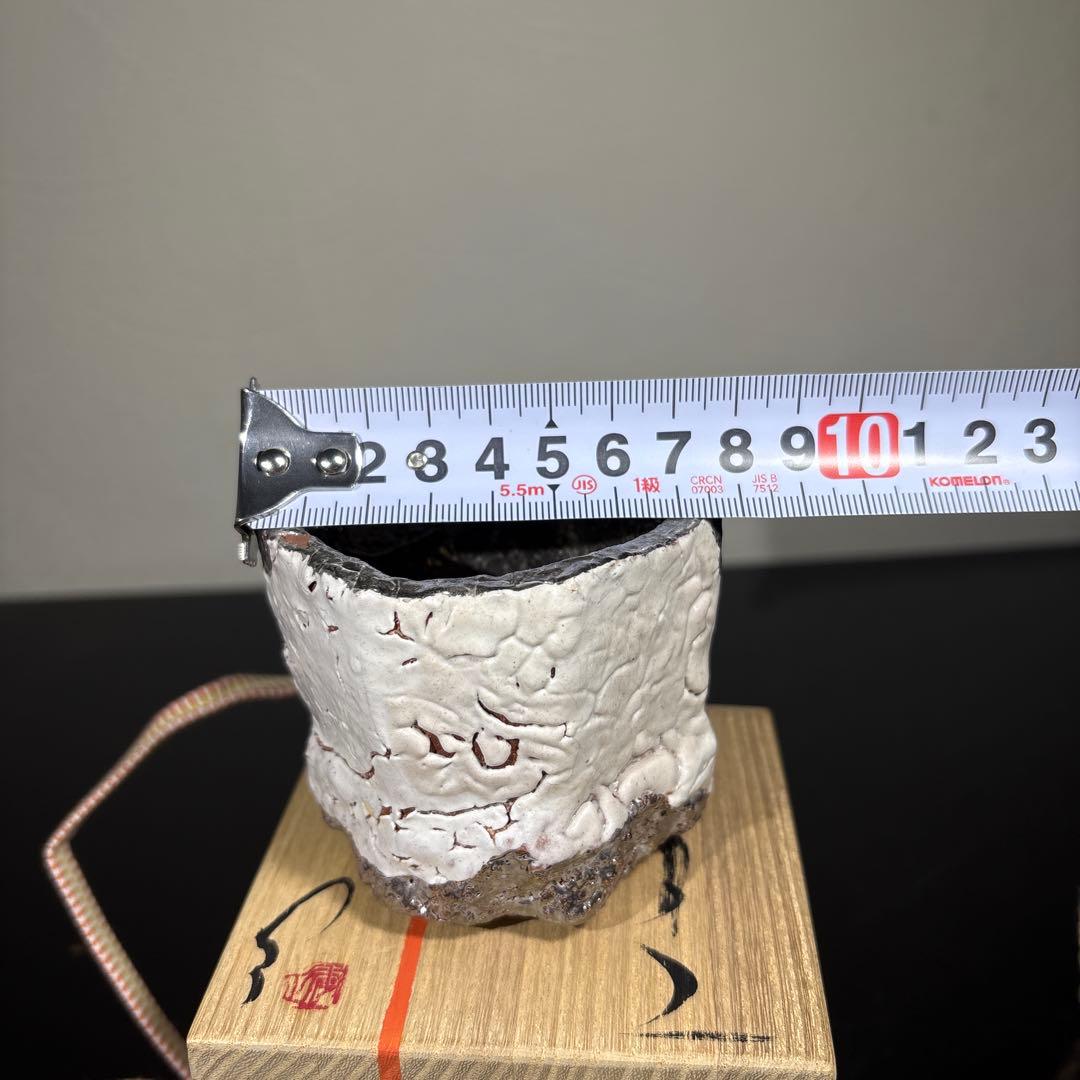 真作　市川透　大きめぐい呑み
