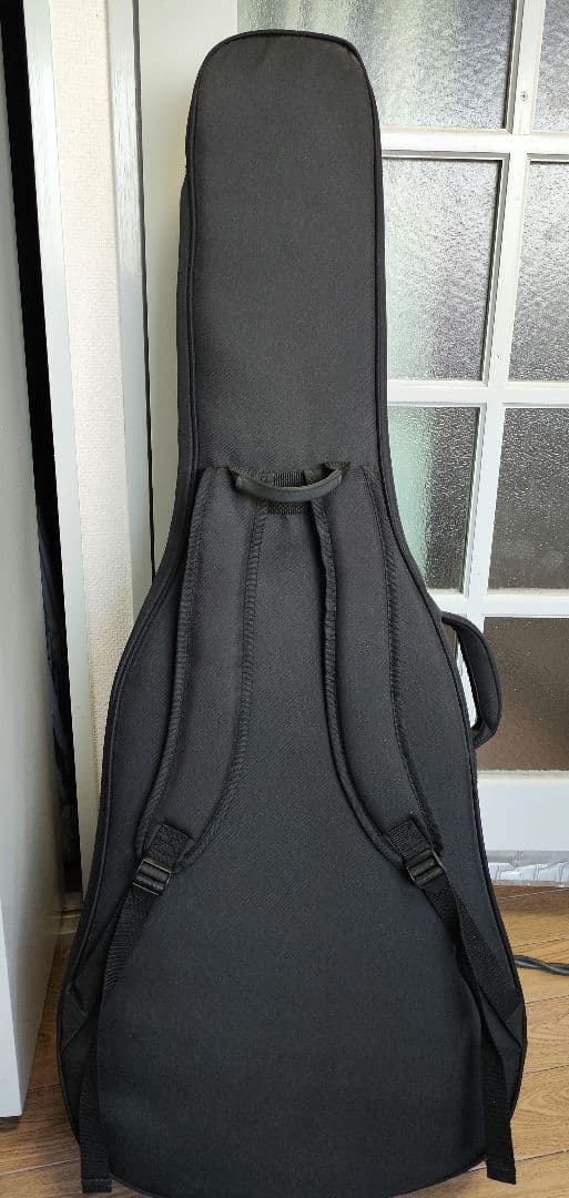 入手困難 Recording King RD-A9M オール単板 ドレッドノート