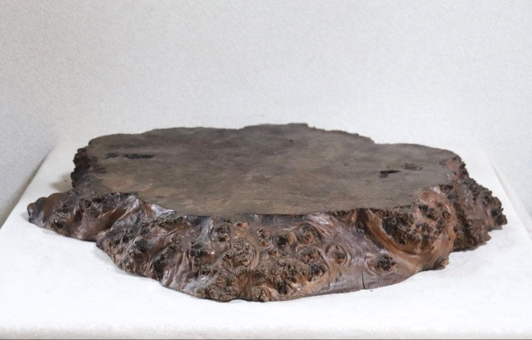 櫻木　茶台　茶道具　厚さ6.9cm 送料込み250612