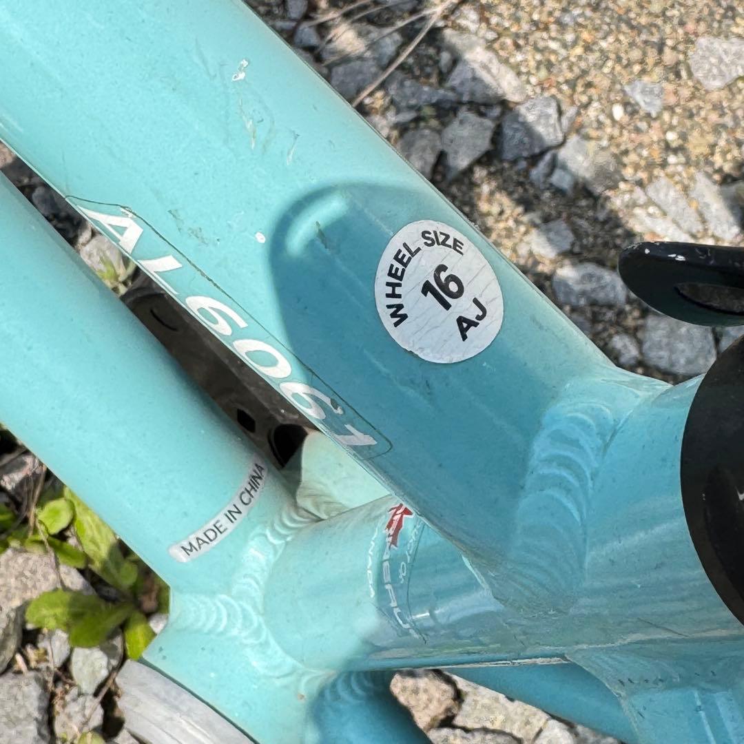 LOUIS GARNEAU 子供用自転車 16インチ 水色