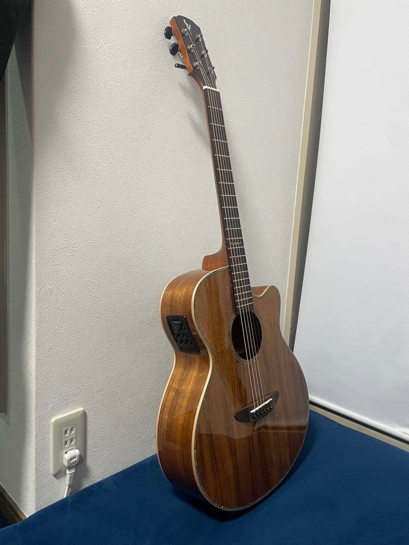 VR-641KCE エレアコ アコースティックギター ケース付き