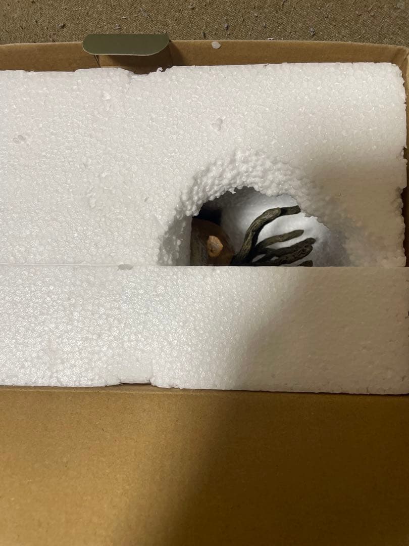 スタジオジブリ　もののけ姫　シシ神　オルゴール　ウォーターガーデン　bonsai