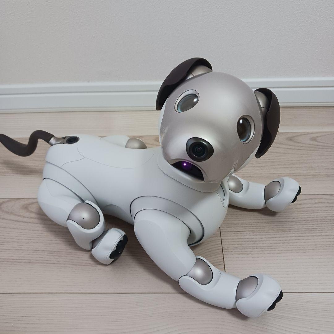 SONY aibo ソニーアイボ ERS-1000　美品