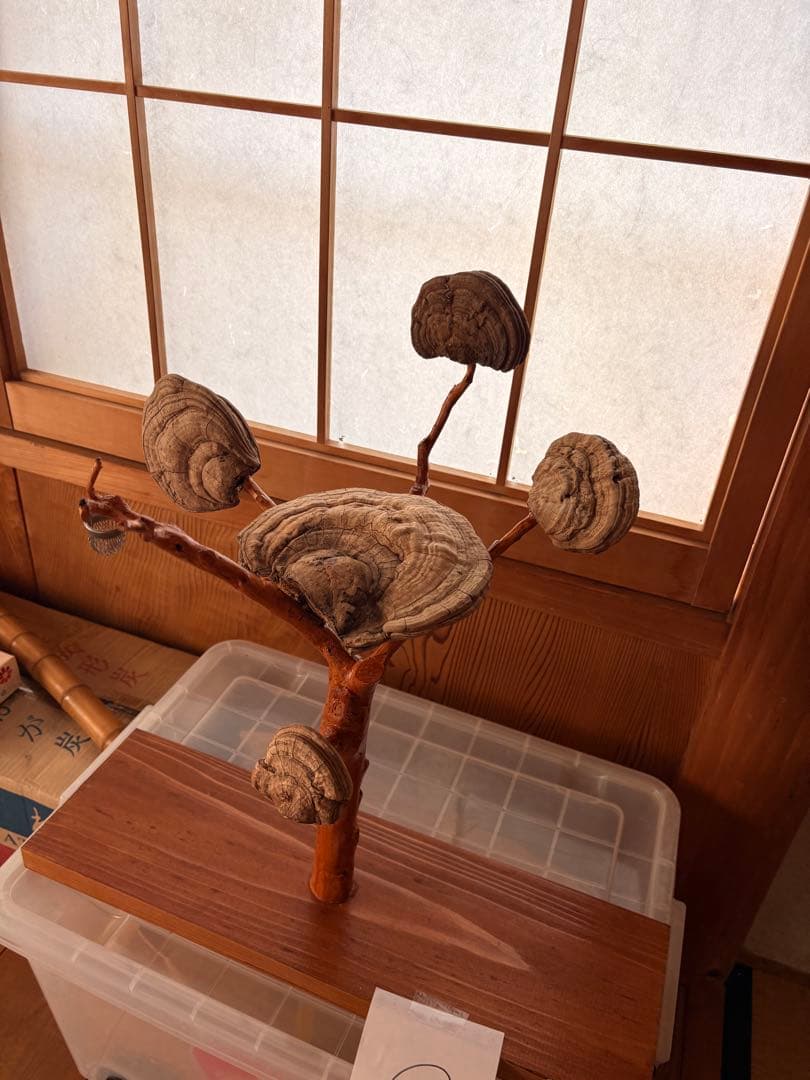 木製キノコデザイン置物 約30cm