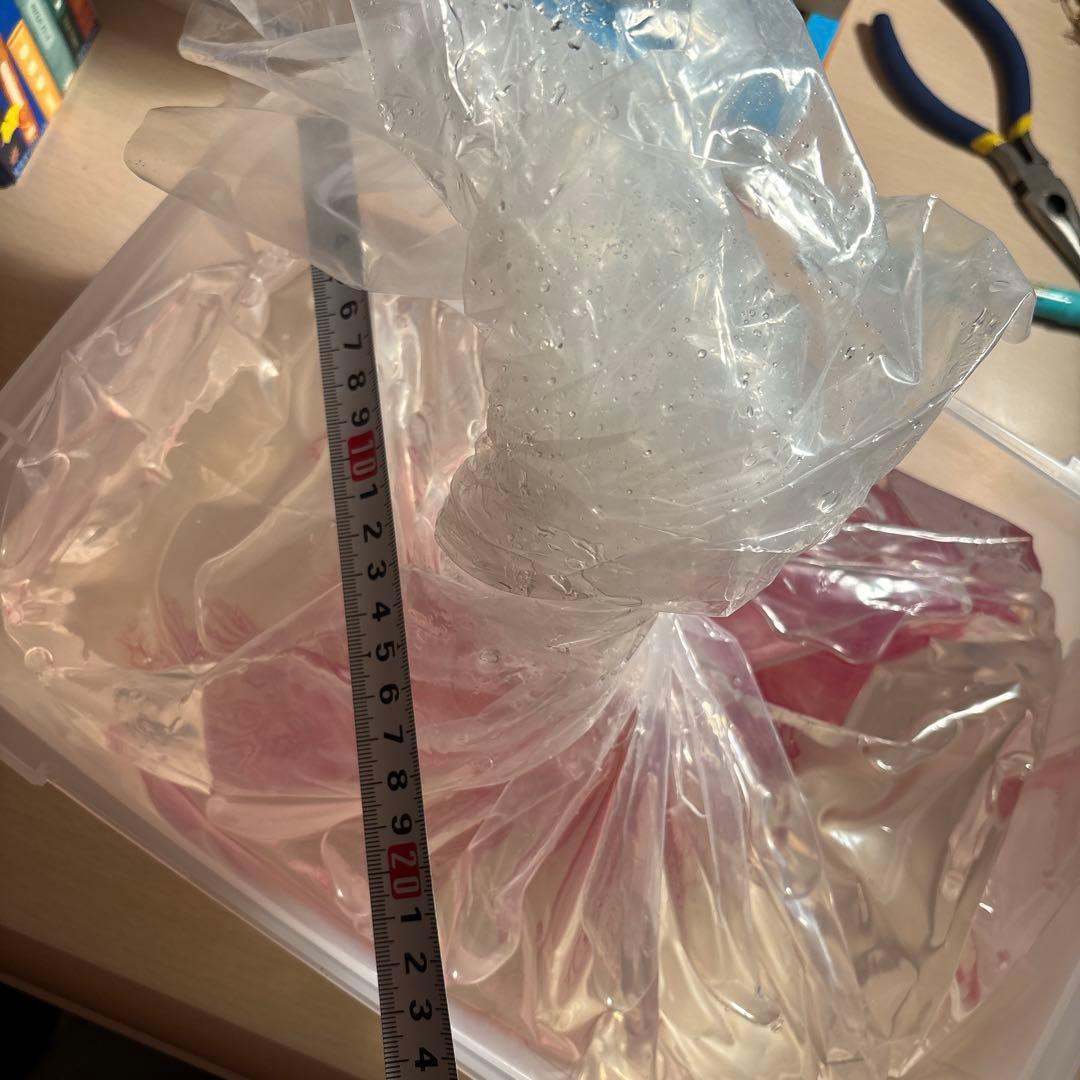 【透明骨格標本】ハナミノカサゴ 30cm