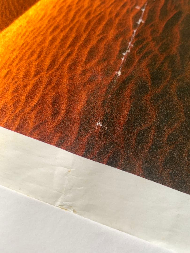 ボリウッド　ヴィンテージ　ポスター　SHAKTI　シャールク　アイシュワリヤ